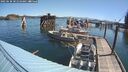./images/quadra/hbidock/20250630/hbidock20250630_101511M.jpg