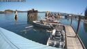 ./images/quadra/hbidock/20250630/hbidock20250630_112509M.jpg