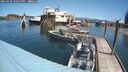 ./images/quadra/hbidock/20250630/hbidock20250630_120510M.jpg