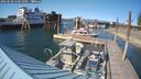 ./images/quadra/hbidock/20250630/hbidock20250630_170510M.jpg