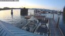 ./images/quadra/hbidock/20250630/hbidock20250630_213507M.jpg
