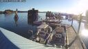 ./images/quadra/hbidock/20250701/hbidock20250701_071010M.jpg