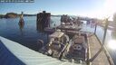 ./images/quadra/hbidock/20250701/hbidock20250701_071510M.jpg