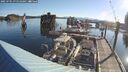./images/quadra/hbidock/20250701/hbidock20250701_075510M.jpg