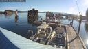 ./images/quadra/hbidock/20250701/hbidock20250701_080011M.jpg
