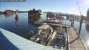./images/quadra/hbidock/20250701/hbidock20250701_080500M.jpg