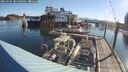 ./images/quadra/hbidock/20250701/hbidock20250701_081508M.jpg