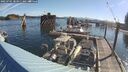 ./images/quadra/hbidock/20250701/hbidock20250701_083011M.jpg