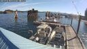 ./images/quadra/hbidock/20250701/hbidock20250701_084510M.jpg