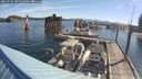 ./images/quadra/hbidock/20250701/hbidock20250701_085010M.jpg