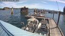 ./images/quadra/hbidock/20250701/hbidock20250701_092510M.jpg