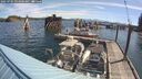 ./images/quadra/hbidock/20250701/hbidock20250701_093000M.jpg
