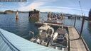 ./images/quadra/hbidock/20250701/hbidock20250701_095000M.jpg