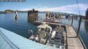 ./images/quadra/hbidock/20250701/hbidock20250701_103510M.jpg