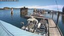 ./images/quadra/hbidock/20250701/hbidock20250701_104500M.jpg