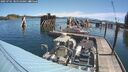 ./images/quadra/hbidock/20250701/hbidock20250701_105510M.jpg