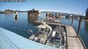 ./images/quadra/hbidock/20250701/hbidock20250701_113500M.jpg