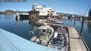 ./images/quadra/hbidock/20250701/hbidock20250701_114500M.jpg