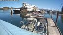 ./images/quadra/hbidock/20250701/hbidock20250701_114510M.jpg