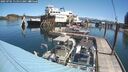./images/quadra/hbidock/20250701/hbidock20250701_115011M.jpg