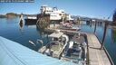 ./images/quadra/hbidock/20250701/hbidock20250701_115510M.jpg