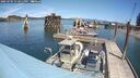 ./images/quadra/hbidock/20250701/hbidock20250701_132010M.jpg