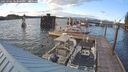 ./images/quadra/hbidock/20250701/hbidock20250701_203500M.jpg
