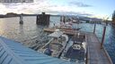 ./images/quadra/hbidock/20250701/hbidock20250701_210000M.jpg