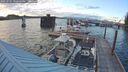 ./images/quadra/hbidock/20250701/hbidock20250701_210509M.jpg