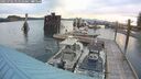 ./images/quadra/hbidock/20250702/hbidock20250702_055010M.jpg