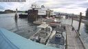 ./images/quadra/hbidock/20250702/hbidock20250702_082009M.jpg