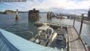 ./images/quadra/hbidock/20250702/hbidock20250702_085000M.jpg
