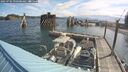 ./images/quadra/hbidock/20250702/hbidock20250702_090500M.jpg