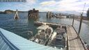 ./images/quadra/hbidock/20250702/hbidock20250702_091010M.jpg