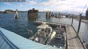 ./images/quadra/hbidock/20250702/hbidock20250702_091511M.jpg