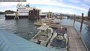 ./images/quadra/hbidock/20250702/hbidock20250702_170500M.jpg