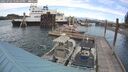 ./images/quadra/hbidock/20250702/hbidock20250702_170511M.jpg