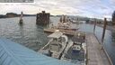 ./images/quadra/hbidock/20250702/hbidock20250702_184500M.jpg