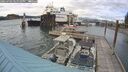 ./images/quadra/hbidock/20250702/hbidock20250702_185510M.jpg