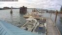 ./images/quadra/hbidock/20250702/hbidock20250702_190500M.jpg