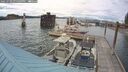 ./images/quadra/hbidock/20250702/hbidock20250702_191509M.jpg