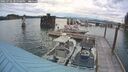 ./images/quadra/hbidock/20250702/hbidock20250702_205508M.jpg