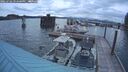 ./images/quadra/hbidock/20250702/hbidock20250702_214500M.jpg
