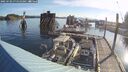 ./images/quadra/hbidock/20250703/hbidock20250703_075011M.jpg