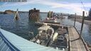 ./images/quadra/hbidock/20250703/hbidock20250703_091010M.jpg