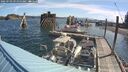 ./images/quadra/hbidock/20250703/hbidock20250703_092000M.jpg