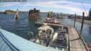 ./images/quadra/hbidock/20250703/hbidock20250703_093011M.jpg