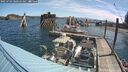 ./images/quadra/hbidock/20250703/hbidock20250703_100510M.jpg