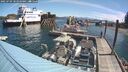 ./images/quadra/hbidock/20250703/hbidock20250703_104010M.jpg