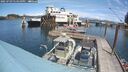 ./images/quadra/hbidock/20250703/hbidock20250703_134011M.jpg